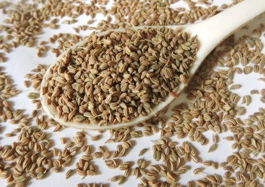 Ajwain